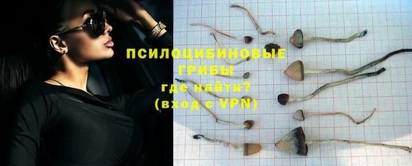 ГАЛЛЮЦИНОГЕННЫЕ ГРИБЫ Магадан