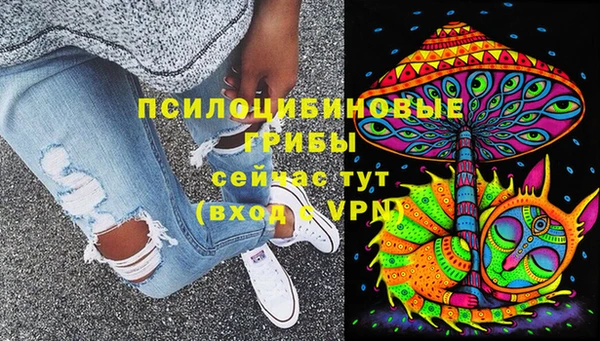ешки Майский