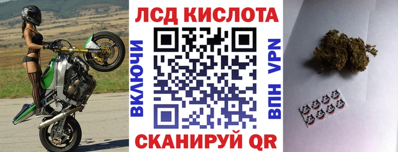 как найти закладки  Нефтекумск  Наркотические марки 1500мкг 
