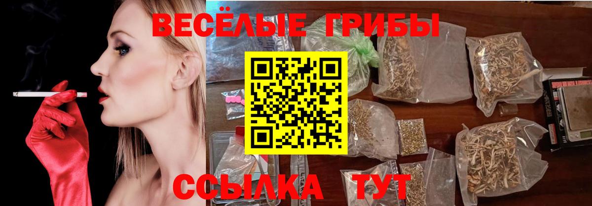 Галлюциногенные грибы MAGIC MUSHROOMS Нефтекумск
